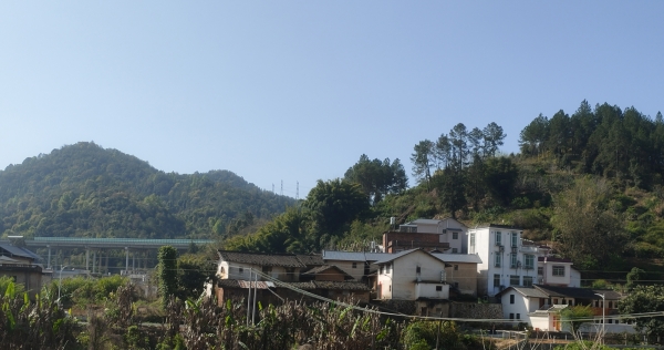 《黄沙晓望》三乡黄沙村写生