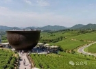 0门票年收500亿韩元:济州茶博物馆给农文旅的启示