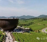 0门票年收500亿韩元：济州茶博物馆给农文旅的启示