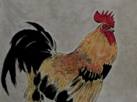 《锦鸡吉祥》——立秋吉祥