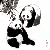 《竹下双栖》庆祝建军99周年八一建军节，致敬最可爱的人!