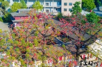 《东山书院写生》红棉映文脉，笔墨写春秋